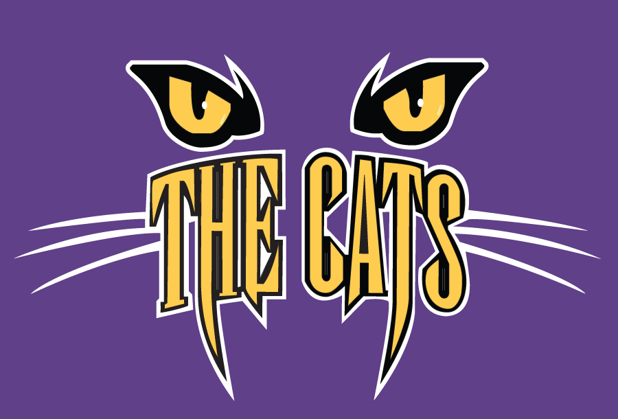 Western Carolina Catamounts 1996-2007 Alternate Logo 06 iron on paper